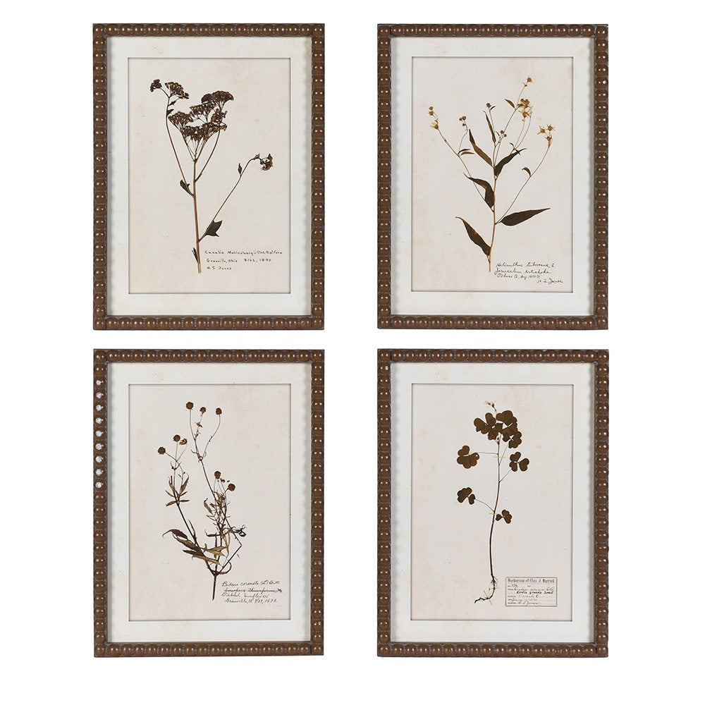 Set of four vintage botanical framed floral prints with beaded brown frames