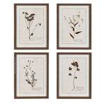 Set of four vintage botanical framed floral prints with beaded brown frames