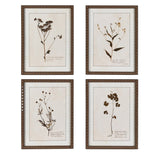 Set of four vintage botanical framed floral prints with beaded brown frames