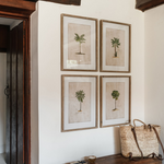 Framed vintage palm tree botanical print wall art