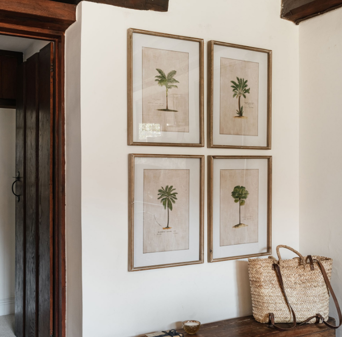 Framed vintage palm tree botanical print wall art