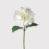 A single artificial white hydrangea flower with green leaves on a stem against a white background.