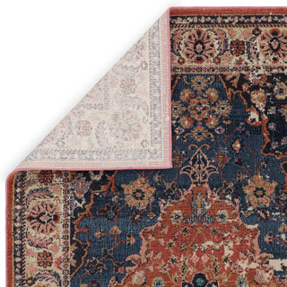 Pattern detail of the Zola Heris traditional rug