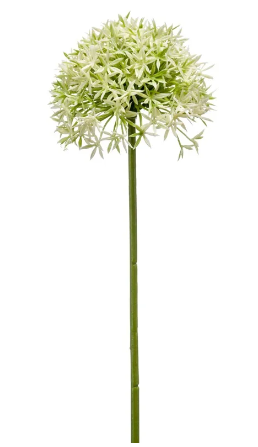 A single artificial allium stem with green and cream-colored flowers.