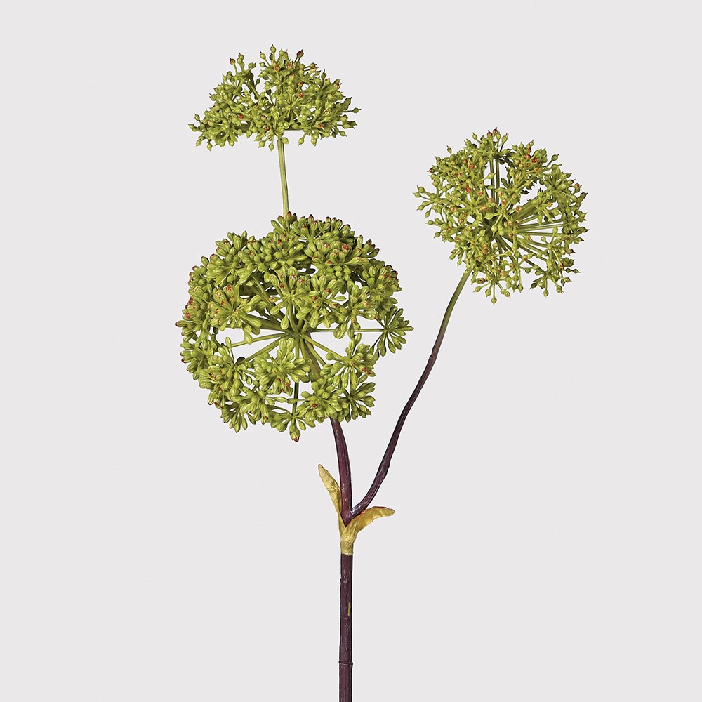 FAUX ANGELICA SEED HEAD STEM GREEN