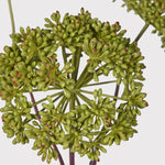 FAUX ANGELICA SEED HEAD STEM GREEN