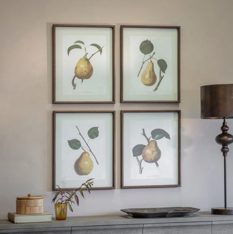 Four framed botanical prints of pears on a wall above a shelf with decorative items.