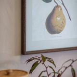 Framed artwork of a pear on a wall with a plant in the foreground