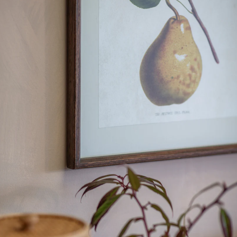 Framed artwork of a pear on a wall with a plant in the foreground
