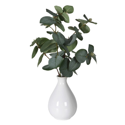 Eucalyptus in Bud Vase | Set of Two