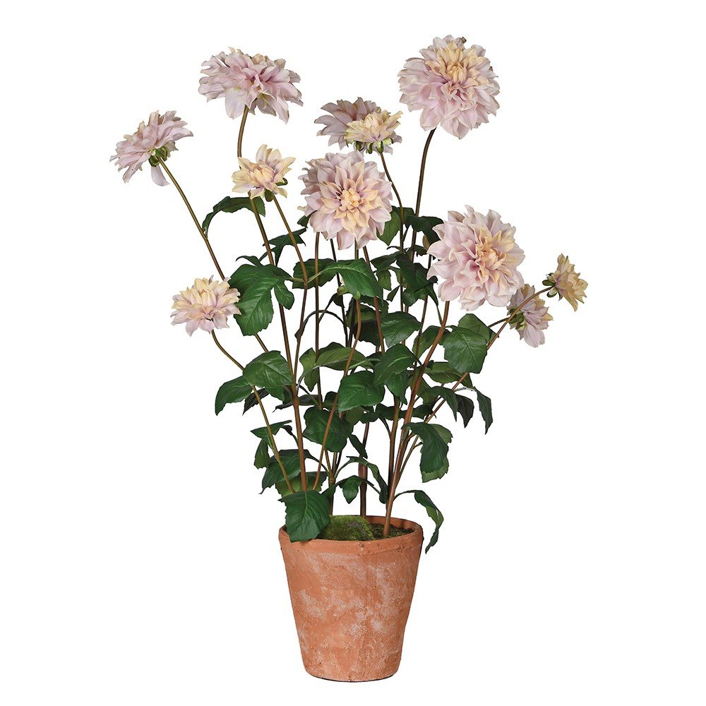 Café au Lait Faux Dahlia Plant in Terracotta Pot - CharlesTed Home