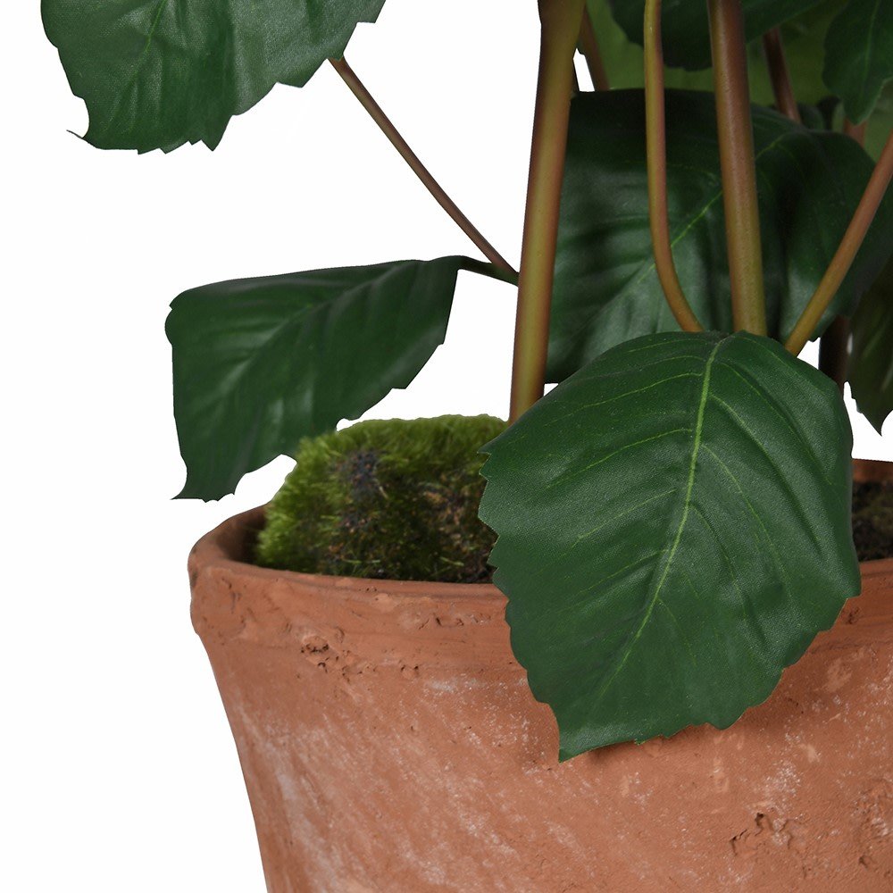Café au Lait Faux Dahlia Plant in Terracotta Pot - CharlesTed Home