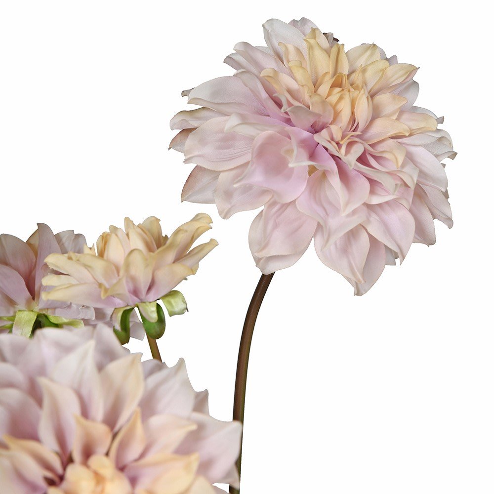 Café au Lait Faux Dahlia Plant in Terracotta Pot - CharlesTed Home