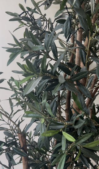 Charles Ted Amalfi Faux Olive Tree – Realistic Artificial Indoor Tree - CharlesTed Home