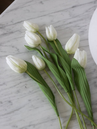 Charles Ted Artificial White Tulip Bunch with Seven Stems - CharlesTed Home