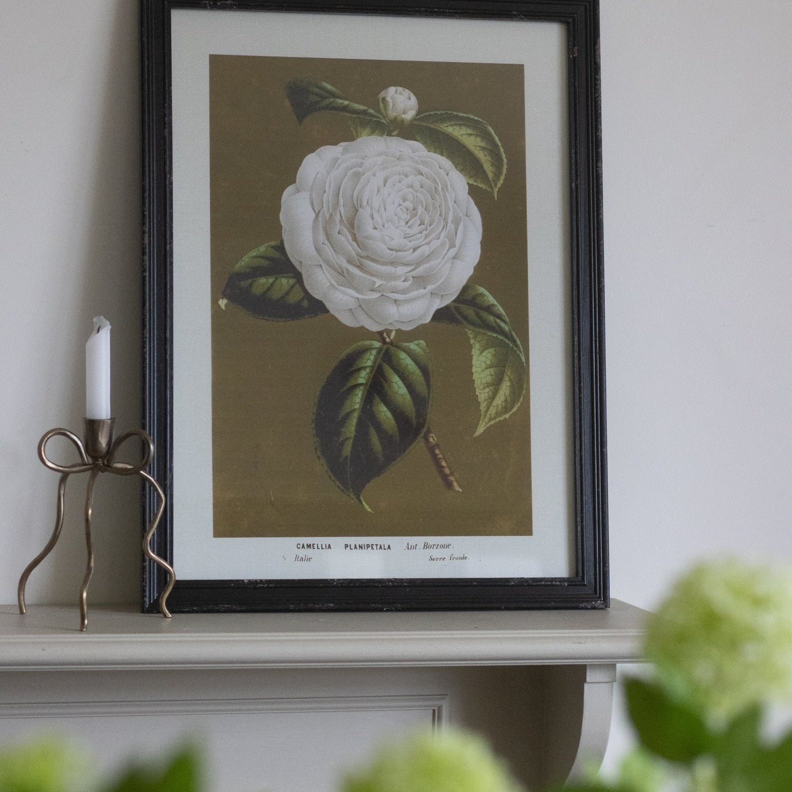 Charles Ted Elegant Botanical Bloom Wall Art Framed Prints | Set of Four - CharlesTed Home