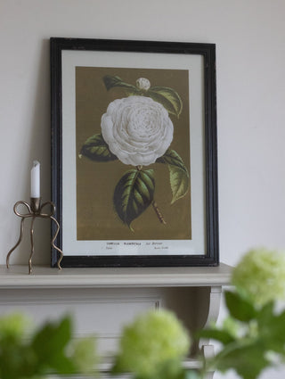 Charles Ted Elegant Botanical Bloom Wall Art Framed Prints | Set of Four - CharlesTed Home