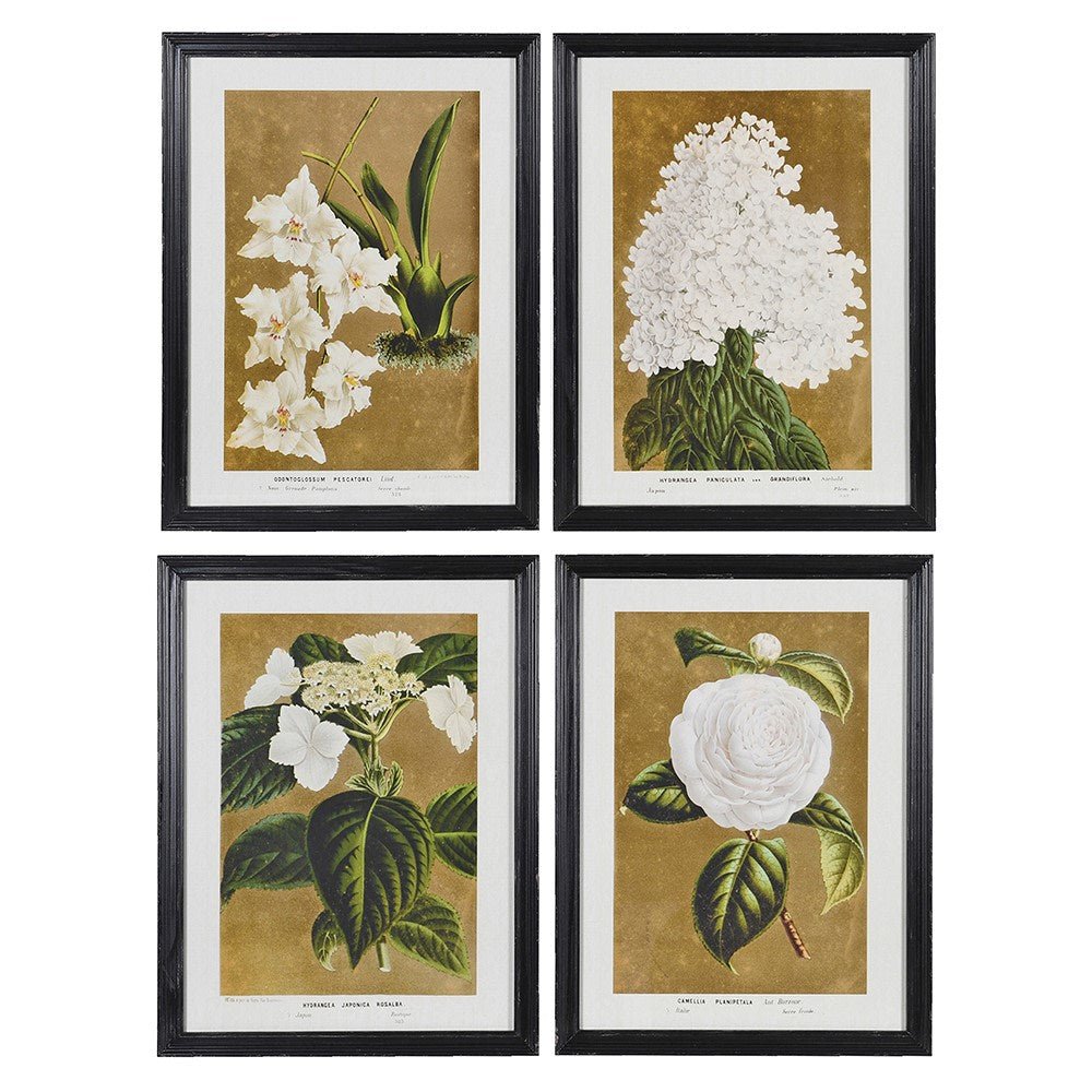 Charles Ted Elegant Botanical Bloom Wall Art Framed Prints | Set of Four - CharlesTed Home