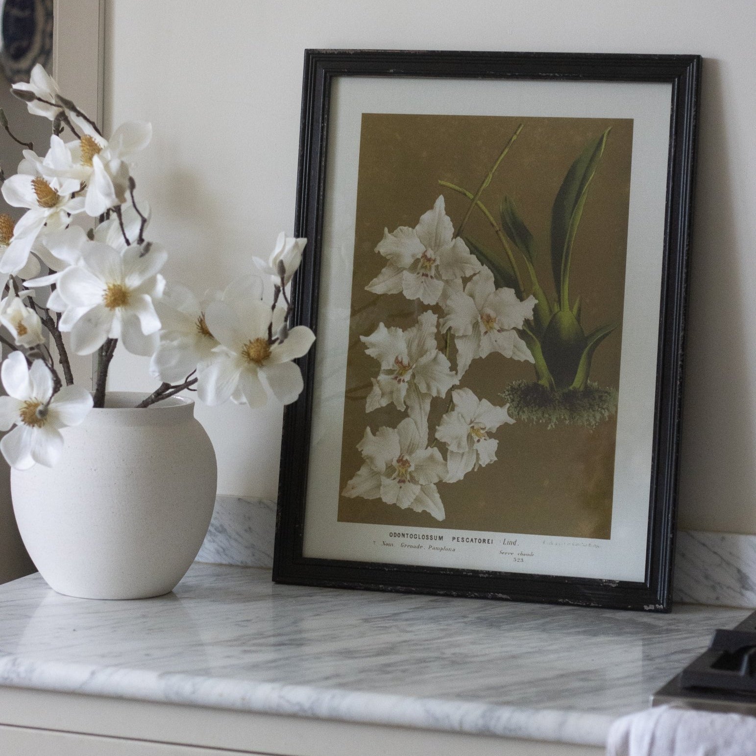 Charles Ted Elegant Botanical Bloom Wall Art Framed Prints | Set of Four - CharlesTed Home