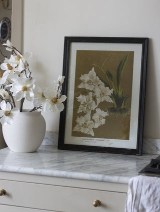 Charles Ted Elegant Botanical Bloom Wall Art Framed Prints | Set of Four - CharlesTed Home