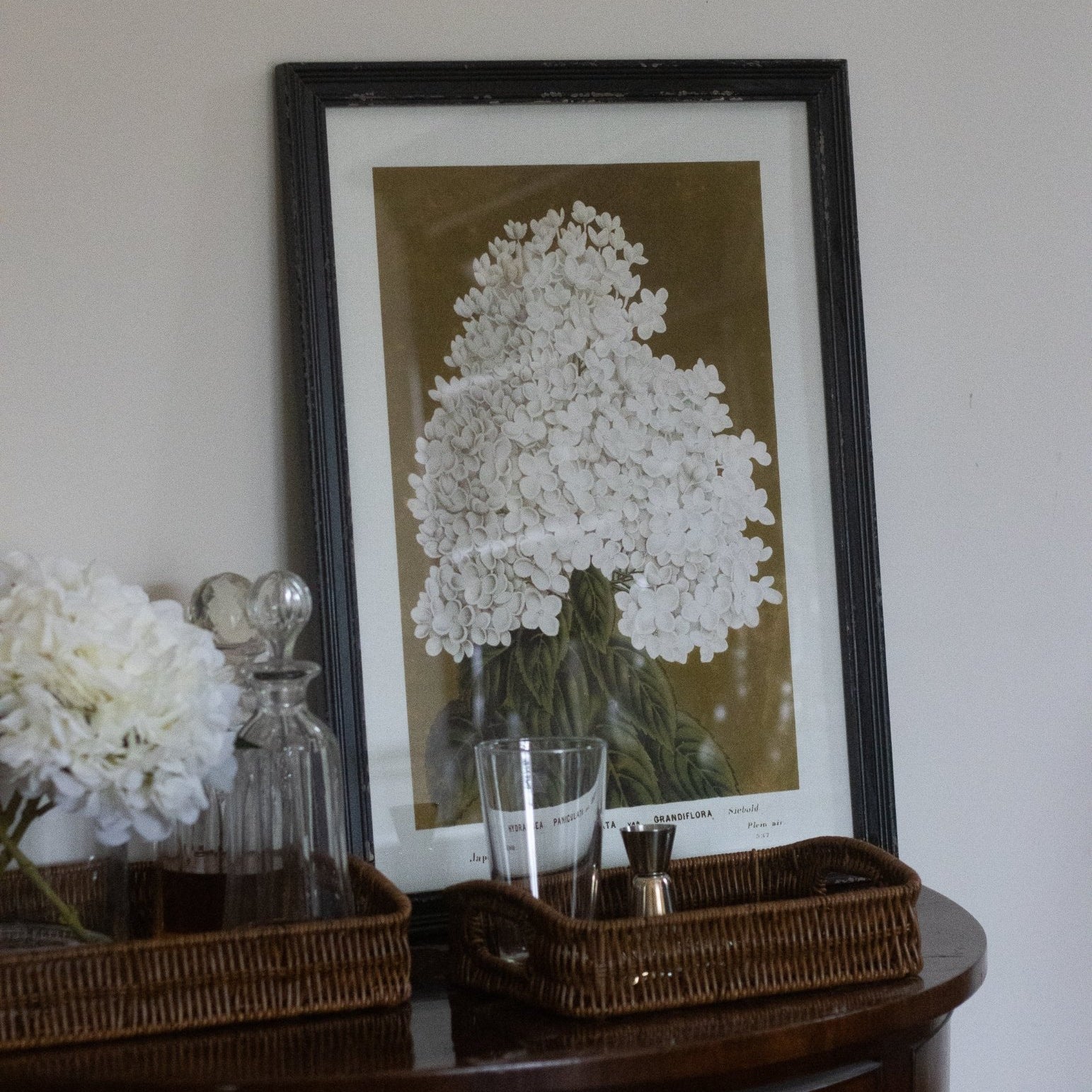 Charles Ted Elegant Botanical Bloom Wall Art Framed Prints | Set of Four - CharlesTed Home