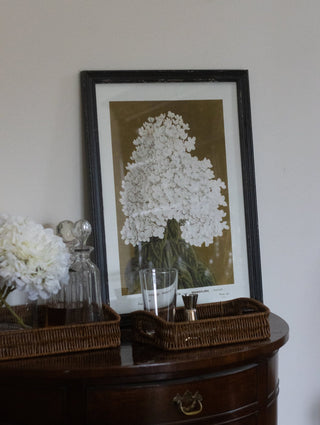 Charles Ted Elegant Botanical Bloom Wall Art Framed Prints | Set of Four - CharlesTed Home