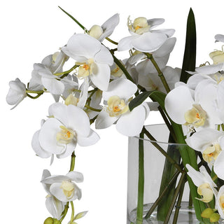 CharlesTed elegant white faux orchid arrangement in clear glass vase — realistic artificial phalaenopsis