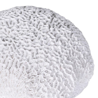 Charles Ted Faux Coral Sculpture | White Decorative Accent - CharlesTed Home