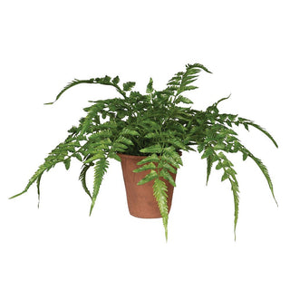 Charles Ted Faux Fern in Terracotta Pot - CharlesTed Home