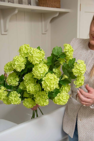 Charles Ted Faux Pompom Viburnum Stem – Realistic Artificial Green Flower Spray - CharlesTed Home