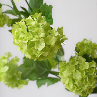 Charles Ted Faux Pompom Viburnum Stem – Realistic Artificial Green Flower Spray - CharlesTed Home