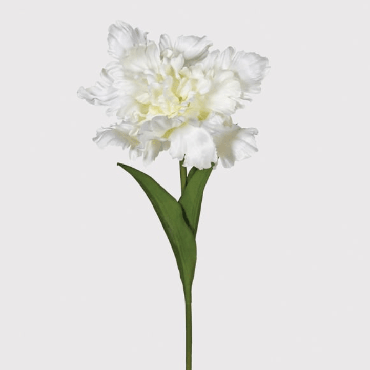 Charles Ted Faux White Parrot Tulip Stem – Bunch of 6 Artificial Flowers - CharlesTed Home