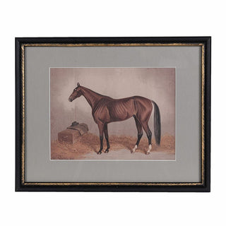 Charles Ted Framed Vintage Horse Illustration Art Print in Black Wooden Frame - CharlesTed Home