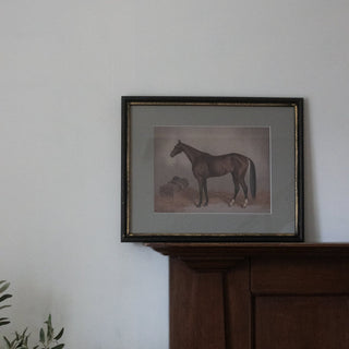 Charles Ted Framed Vintage Horse Illustration Art Print in Black Wooden Frame - CharlesTed Home