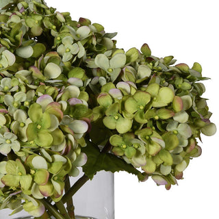 Charles Ted Green Hydrangea Arrangement Complete with Vase - CharlesTed Home