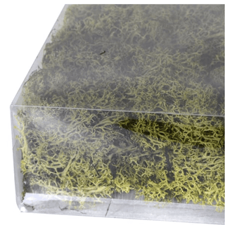Charles Ted Large Bag of Real Green Moss - CharlesTed Home