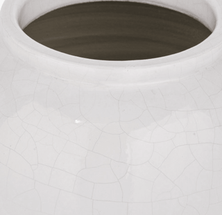 Charles Ted Lotus Ceramic Vase - CharlesTed Home