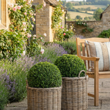 Charles Ted Sonoma Weatherproof Baskets | Outdoor Planters | Wicker & Plastic Lined | Three Sizes - CharlesTed Home