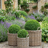 Charles Ted Sonoma Weatherproof Baskets | Outdoor Planters | Wicker & Plastic Lined | Three Sizes - CharlesTed Home