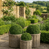 Charles Ted Sonoma Weatherproof Baskets | Outdoor Planters | Wicker & Plastic Lined | Three Sizes - CharlesTed Home