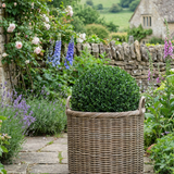 Charles Ted Sonoma Weatherproof Baskets | Outdoor Planters | Wicker & Plastic Lined | Three Sizes - CharlesTed Home