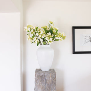 Charles Ted Viburnum spray - CharlesTed Home