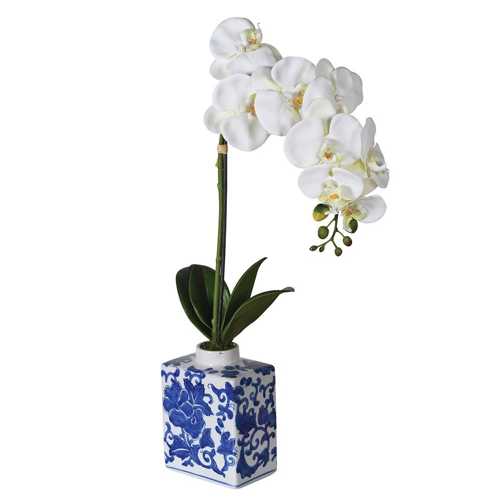 Charles Ted White Phalaenopsis Orchid in Blue and White Ceramic Vase - CharlesTed Home