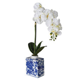 Charles Ted White Phalaenopsis Orchid in Blue and White Ceramic Vase - CharlesTed Home