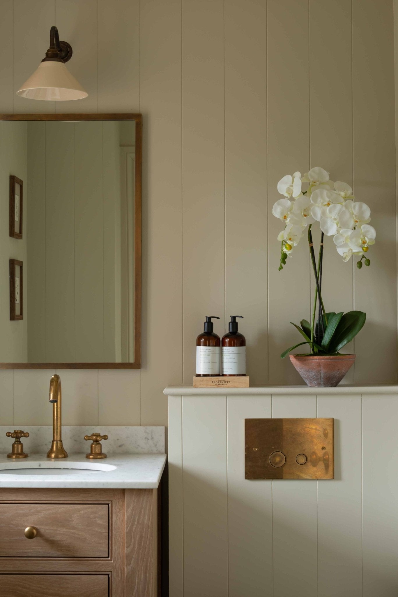 Charles Ted White Phalaenopsis Orchid in Terracotta Pot - CharlesTed Home