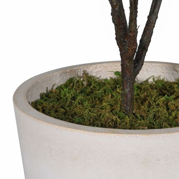 CharlesTed Home Artificial Japanese Cedar Tree in Pot – Realistic Faux Indoor Plant Décor - CharlesTed Home