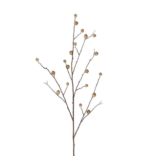 Oak Apple Spray