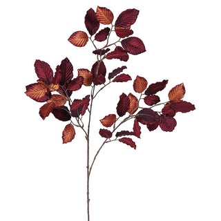 Velvet Copper Beech Stem