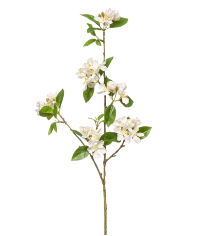 Single stem of white cherry blossom