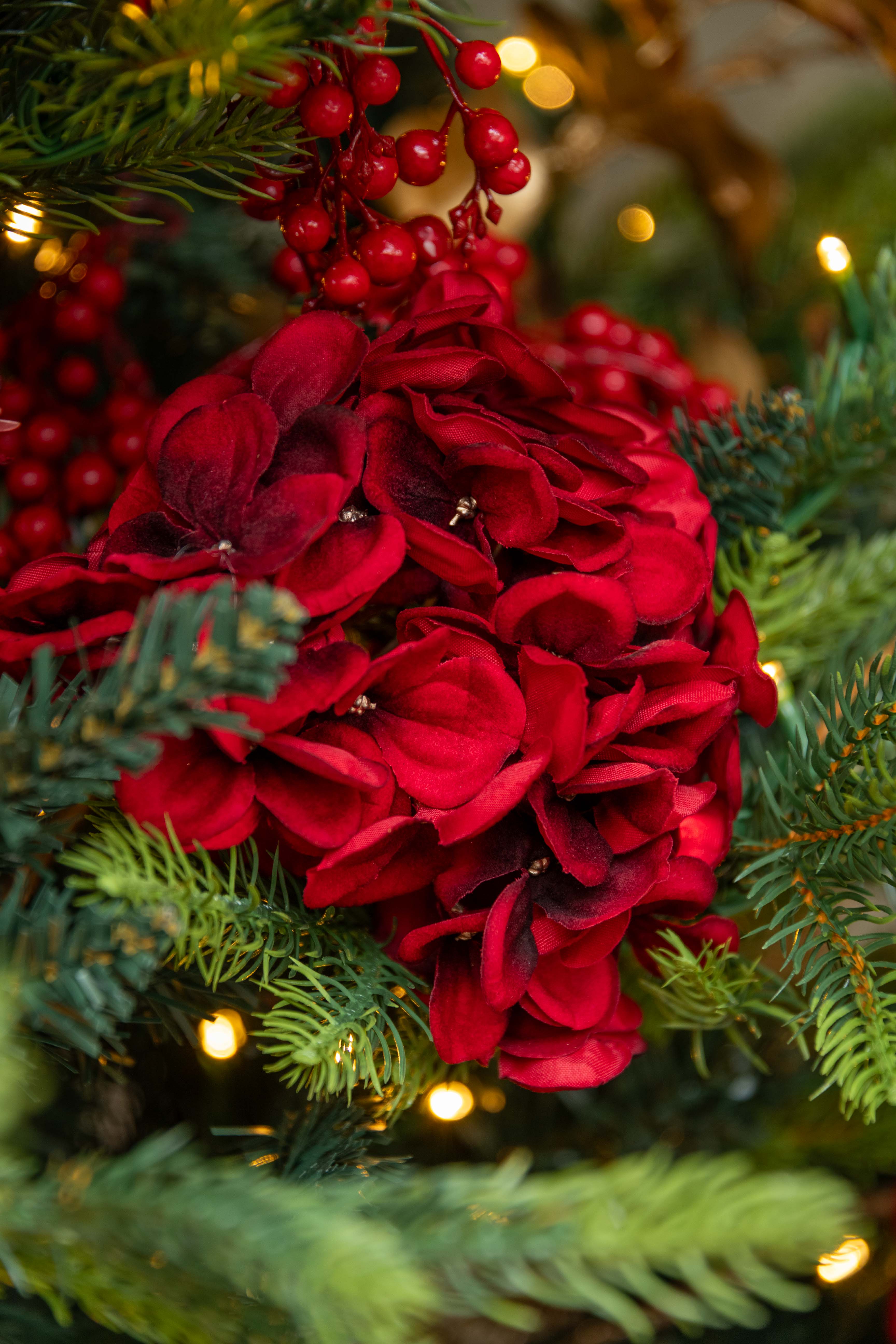 Close-up of red hydrangea flowers and greenery with blurred lights in the background